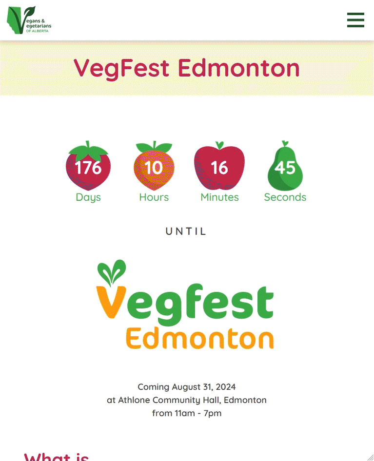 vvoa website page tablet